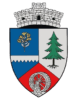 Gura Râului