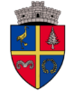 Rășinari